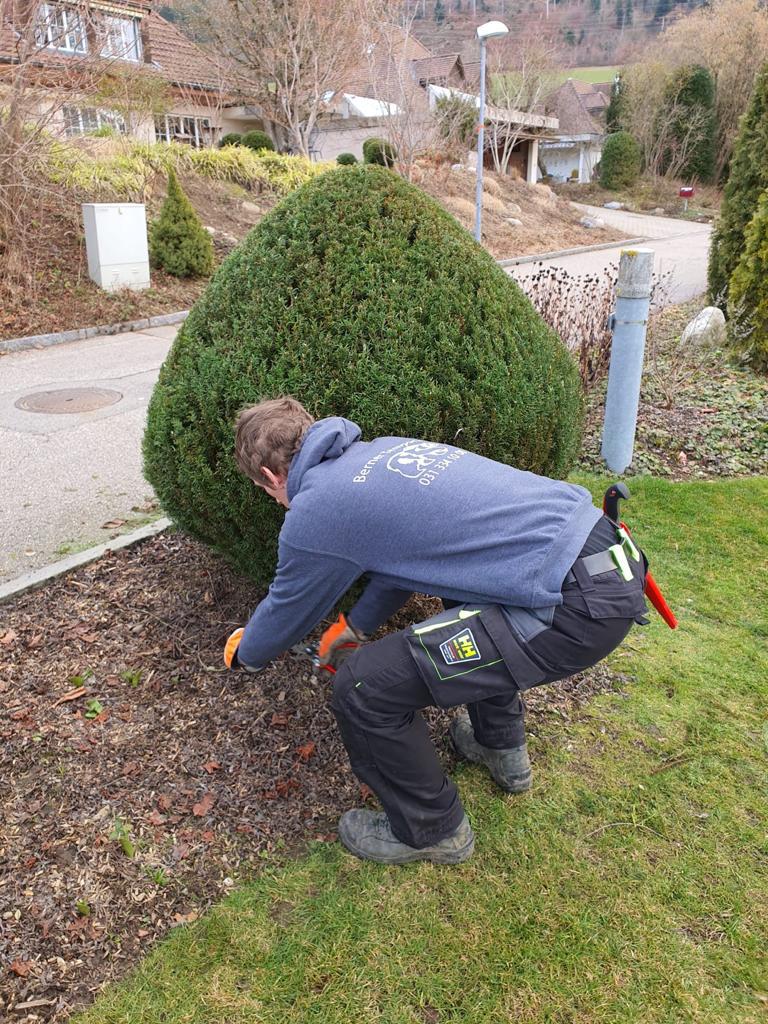 Gartenbau, Region Bern